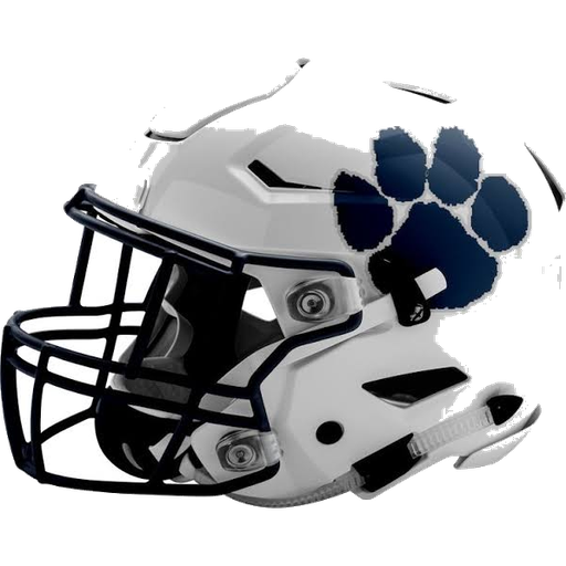Berwick helmet