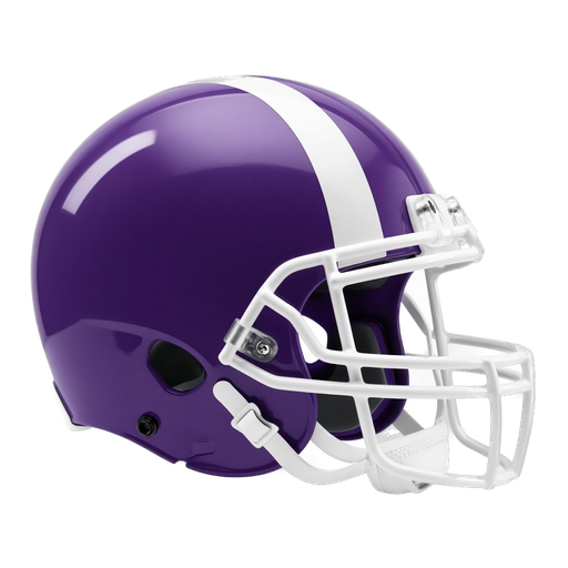 Wallenpaupack helmet